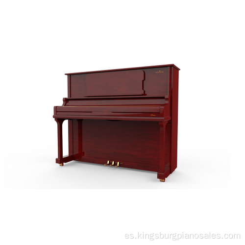 Piano de rendimiento profesional